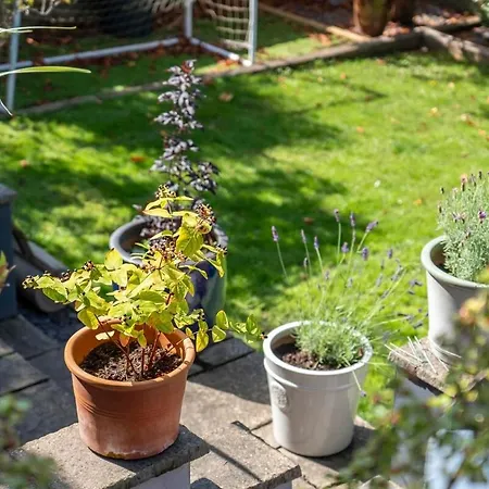 Beautiful Cotham Garden Flat 2 Bedroom Apartman *