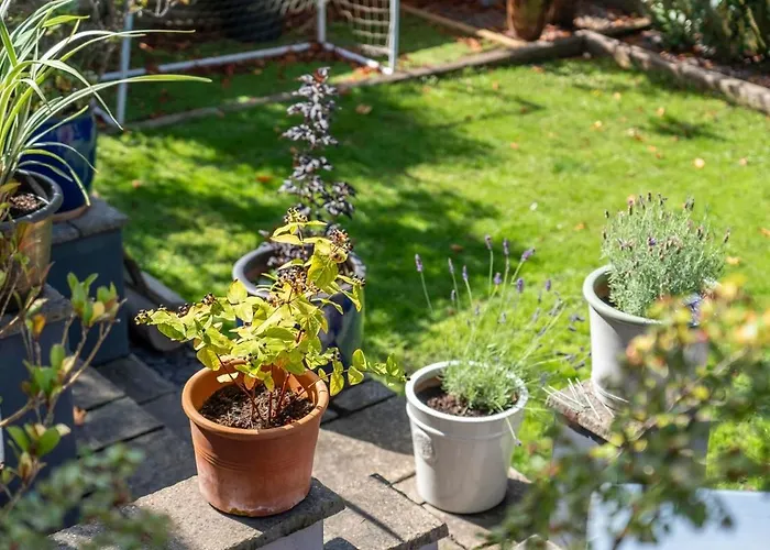 Beautiful Cotham Garden Flat 2 Bedroom Διαμέρισμα *